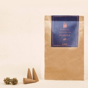 Incense Cone Eucalyptus 20 Pcs Pack