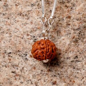 Adiyogi Rudraksha With Silver chain